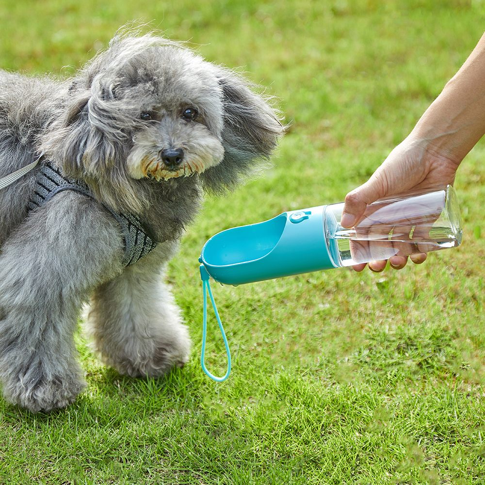 PETKIT EVERSWEET Reisewasserflasche für Haustiere